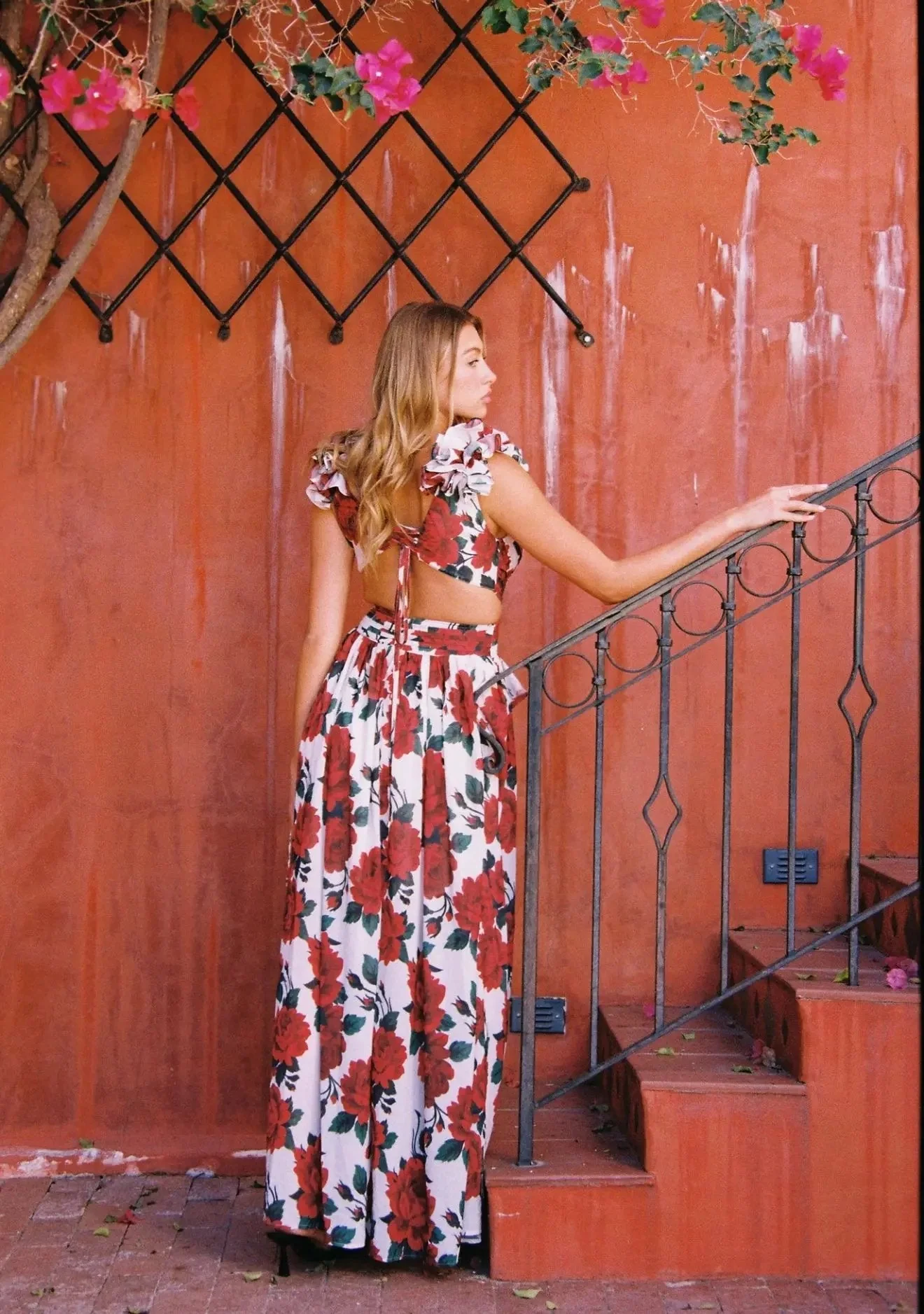 MONACO ROSE CASSINI DRESS - Image 4